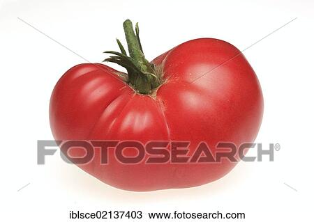 Beef heart tomato View Large Photo Image Stock Image - Beef heart tomato. Fotosearch