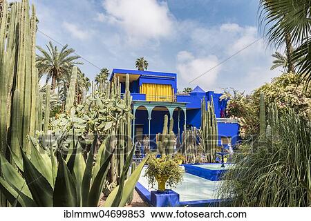 Stock Image - Blue House in the Jardin Majorelle Botanical Garden, Moorish architecture, former owners Yves Saint-Laurent and Pierre Bergé, Marrakech, Morocco, Africa. Fotosearch