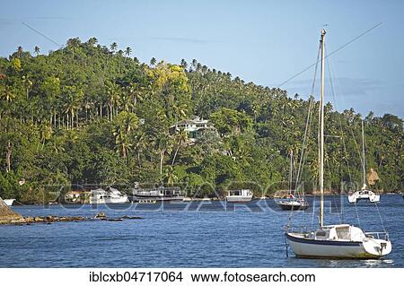 Boats bobbing in the bay of Samaná, behind the jungle of Santa Barbara de Samaná, Samaná province, Dominican Republic, Central America View Large Photo Image Picture - Boats bobbing in the bay of Samaná, behind the jungle of Santa Barbara de Samaná, Samaná province, Dominican Republic, Central America. Fotosearch