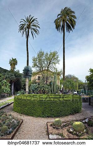 Botanical Garden, cacti and Mediterranean plants, Sóller, Serra de Tramuntana, Majorca, Balearic Islands, Spain, Europe View Large Photo Image Stock Photo - Botanical Garden, cacti and Mediterranean plants, Sóller, Serra de Tramuntana, Majorca, Balearic Islands, Spain, Europe. Fotosearch