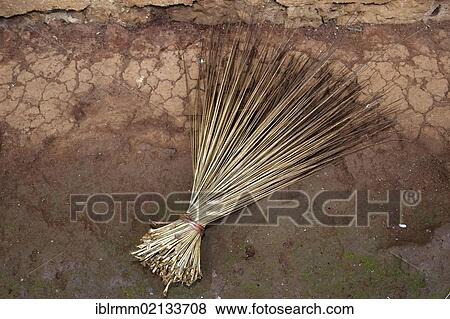 Broom made of palm leaves, Bamenda, Cameroon, Africa View Large Photo Image Stock Photo - Broom made of palm leaves, Bamenda, Cameroon, Africa. Fotosearch