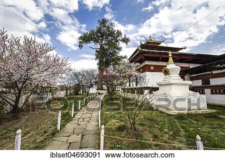 Buddhist temple Kyichu Lhakhang in spring, Paro, Paro district, Himalayan region, Bhutan, Asia View Large Photo Image Stock Image - Buddhist temple Kyichu Lhakhang in spring, Paro, Paro district, Himalayan region, Bhutan, Asia. Fotosearch