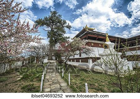 Buddhist temple Kyichu Lhakhang in spring, Paro, Paro district, Himalayan region, Bhutan, Asia View Large Photo Image Stock Image - Buddhist temple Kyichu Lhakhang in spring, Paro, Paro district, Himalayan region, Bhutan, Asia. Fotosearch