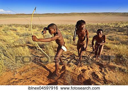 Stock Photograph - Bushmen of the San people hunting, Kalahari or Kgalagadi Transfrontier Park, North Cape, South Africa, Africa. Fotosearch