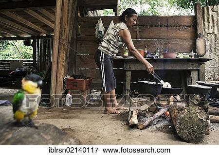 Carlota, from the Quechua people, preparing breakfast in her kitchen, in a village with no road access in the rainforest of the Oriente, Curaray, Ecuador, South America View Large Photo Image Stock Photo - Carlota, from the Quechua people, preparing breakfast in her kitchen, in a village with no road access in the rainforest of the Oriente, Curaray, Ecuador, South America. Fotosearch