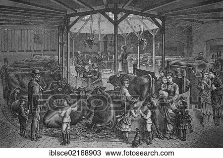 Stock Image - Central hall of Wille'schen Milchkuranstalt, a milk-drinking spa resort, in Dresden, Saxony, Germany, historical engraving, 1883, Europe. Fotosearch