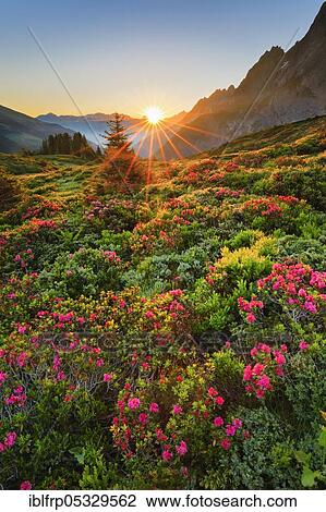 Chalberboden, Bern, Bernese Oberland, Switzerland, Europe View Large Photo Image Stock Image - Chalberboden, Bern, Bernese Oberland, Switzerland, Europe. Fotosearch