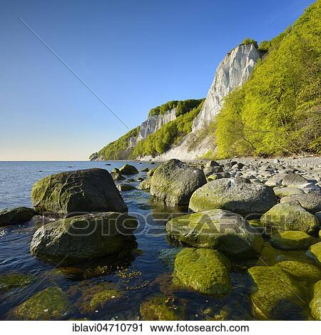 Chalk rocks and boulders on the Baltic Sea in spring, in front the Königsstuhl, behind the Victoria view, fresh green, Jasmund National Park, UNESCO World Heritage Site, Rügen Island, Mecklenburg-Western Pomerania, Germany, Europe View Large Photo Image Stock Image - Chalk rocks and boulders on the Baltic Sea in spring, in front the Königsstuhl, behind the Victoria view, fresh green, Jasmund National Park, UNESCO World Heritage Site, Rügen Island, Mecklenburg-Western Pomerania, Germany, Europe. Fotosearch