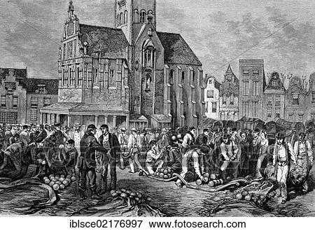 Cheese market in Hoorn, Netherlands, historical engraving of 1883 View Large Photo Image Stock Photo - Cheese market in Hoorn, Netherlands, historical engraving of 1883. Fotosearch