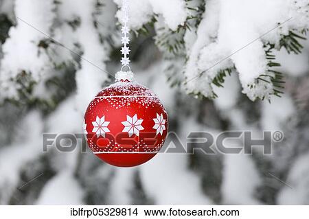Picture - Christmas tree ball on snowy branch. Fotosearch