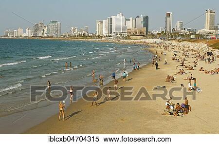 City view, skyline and beach, Tel Aviv, Israel, Asia View Large Photo Image Stock Photography - City view, skyline and beach, Tel Aviv, Israel, Asia. Fotosearch