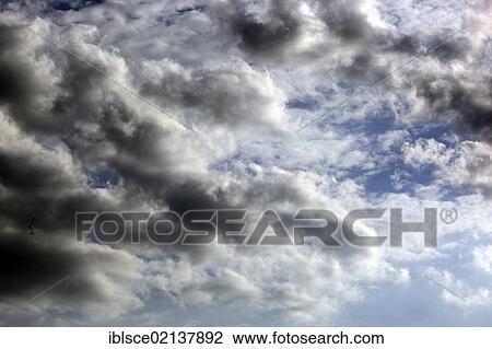 Clouds in the sky View Large Photo Image Stock Image - Clouds in the sky. Fotosearch