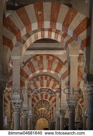 Stock Image - Columned hall with arches in Moorish style, prayer hall of the former mosque, Mezquita-Catedral de Córdoba or Cathedral of the Conception of Our Lady, Córdoba, province of Cordoba, Andalusia, Spain, Europe. Fotosearch