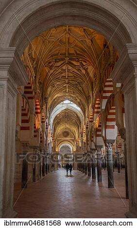 Stock Photo - Columned hall with arches in Moorish style, prayer hall of the former mosque, Mezquita-Catedral de Córdoba or Cathedral of the Conception of Our Lady, Córdoba, province of Cordoba, Andalusia, Spain, Europe. Fotosearch