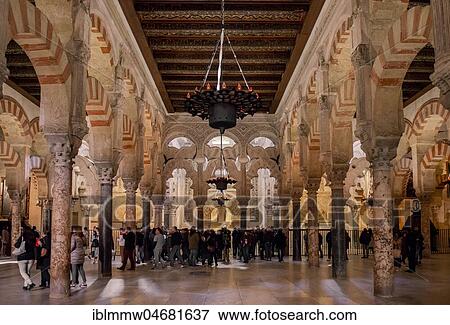 Stock Photo - Columned hall with arches in Moorish style, prayer hall of the former mosque, Mezquita-Catedral de Córdoba or Cathedral of the Conception of Our Lady, Córdoba, province of Cordoba, Andalusia, Spain, Europe. Fotosearch