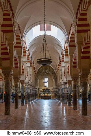 Stock Photograph - Columned hall with arches in Moorish style, prayer hall of the former mosque, Mezquita-Catedral de Córdoba or Cathedral of the Conception of Our Lady, Córdoba, province of Cordoba, Andalusia, Spain, Europe. Fotosearch