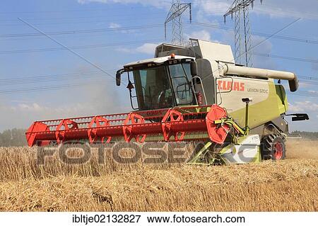Stock Photo - Combine harvester harvesting grain. Fotosearch