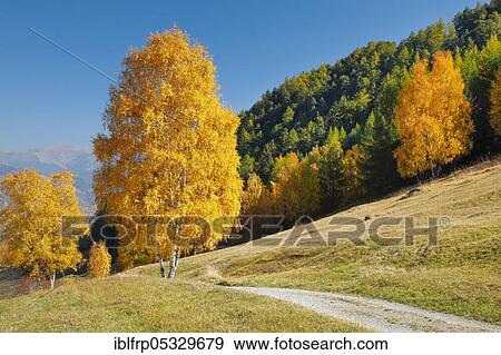 Stock Photo - Country lane in the Lower Engadine, Switzerland, Europe. Fotosearch