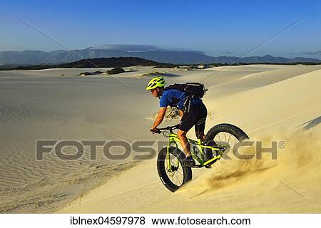 Stock Photo - Cycling tour with fatbikes at Die Plaat Beach, Nature Reserve, De Kelders, Gansbaai, Western Cape, South Africa, Africa. Fotosearch