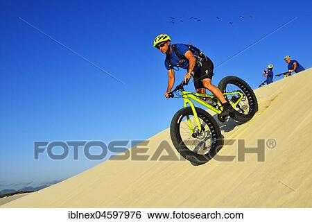 Stock Photograph - Cycling tour with fatbikes at Die Plaat Beach, Nature Reserve, De Kelders, Gansbaai, Western Cape, South Africa, Africa. Fotosearch