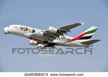 Emirates, Airbus, A380-800, special edition, United for Wildlife, taking off in the air, Munich Airport, Upper Bavaria, Bavaria, Germany, Europe View Large Photo Image Picture - Emirates, Airbus, A380-800, special edition, United for Wildlife, taking off in the air, Munich Airport, Upper Bavaria, Bavaria, Germany, Europe. Fotosearch