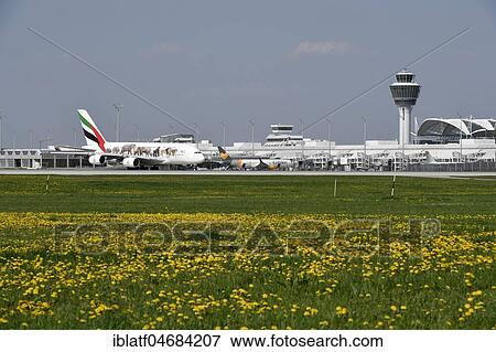 Emirates, Airbus, A380-800, special version, United for Wildlife, rolling on Taxiway, in front of Terminal 1 and Tower, Munich Airport, Upper Bavaria, Bavaria, Germany, Europe View Large Photo Image Stock Photo - Emirates, Airbus, A380-800, special version, United for Wildlife, rolling on Taxiway, in front of Terminal 1 and Tower, Munich Airport, Upper Bavaria, Bavaria, Germany, Europe. Fotosearch