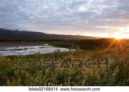 Evening mood in the Alaska Range, mountain range in Alaska, USA, North America View Large Photo Image Picture - Evening mood in the Alaska Range, mountain range in Alaska, USA, North America. Fotosearch