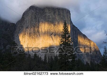 Evening sunlight shines on El Capitan, a granite monolith with up to 1000 metres high cliffs in Yosemite Valley, Yosemite National Park, Yosemite, California, USA, North America View Large Photo Image Stock Image - Evening sunlight shines on El Capitan, a granite monolith with up to 1000 metres high cliffs in Yosemite Valley, Yosemite National Park, Yosemite, California, USA, North America. Fotosearch