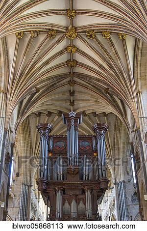 Fan vault and organ, St. Peter's Cathedral, Exeter, Devon, England, Great Britain View Large Photo Image Stock Image - Fan vault and organ, St. Peter's Cathedral, Exeter, Devon, England, Great Britain. Fotosearch
