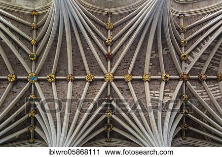 Fan vaulting, nave, St. Peter's Cathedral, Exeter, Devon, England, Great Britain View Large Photo Image Stock Image - Fan vaulting, nave, St. Peter's Cathedral, Exeter, Devon, England, Great Britain. Fotosearch