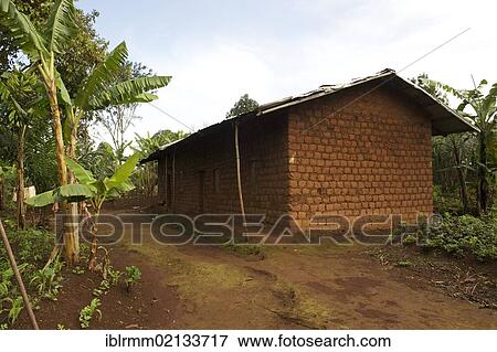 Farm, Bamenda, Cameroon, Africa View Large Photo Image Stock Photo - Farm, Bamenda, Cameroon, Africa. Fotosearch