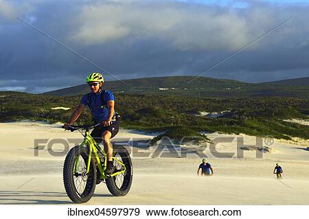 Fatbiker in the dunes near De Kelders, Gansbaai, Western Cape, South Africa, Africa View Large Photo Image Stock Photo - Fatbiker in the dunes near De Kelders, Gansbaai, Western Cape, South Africa, Africa. Fotosearch