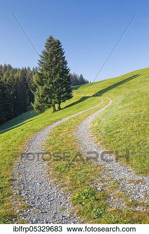 Stock Image - Field path on the Raten Pass, Canton Zug, Switzerland, Europe. Fotosearch
