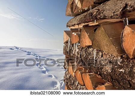 Firewood for winter in the snow-covered mountains of the Appenzell region, Switzerland, Europe, PublicGround, Europe View Large Photo Image Stock Image - Firewood for winter in the snow-covered mountains of the Appenzell region, Switzerland, Europe, PublicGround, Europe. Fotosearch