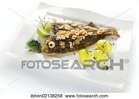 Fresh Plaice (Pleuronectes platessa), Buesum style with shrimps and boiled potatoes View Large Photo Image Stock Photo - Fresh Plaice (Pleuronectes platessa), Buesum style with shrimps and boiled potatoes. Fotosearch