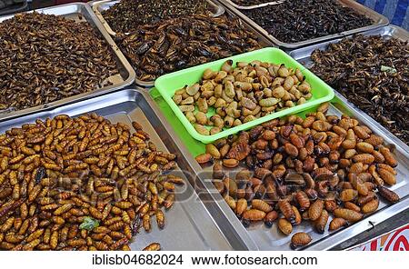 Fried locusts, caterpillars and kakalaks, Chillva Market, Phuket, Thailand, Asia View Large Photo Image Picture - Fried locusts, caterpillars and kakalaks, Chillva Market, Phuket, Thailand, Asia. Fotosearch