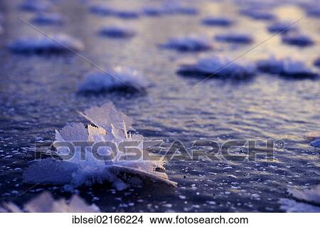 Frozen water surface with frost flowers, Pfronten, Allgaeu, Bavaria, Germany, Europe View Large Photo Image Picture - Frozen water surface with frost flowers, Pfronten, Allgaeu, Bavaria, Germany, Europe. Fotosearch