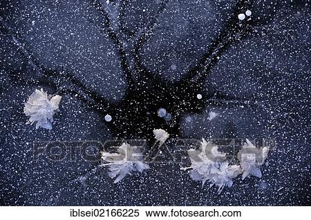 Frozen water surface with frost flowers, Pfronten, Allgaeu, Bavaria, Germany, Europe View Large Photo Image Stock Photography - Frozen water surface with frost flowers, Pfronten, Allgaeu, Bavaria, Germany, Europe. Fotosearch