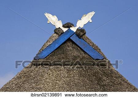 Gable with wooden fish on a thatched building of the Elf-fishing and mining operation in Hoopte Stoef GBR, Winsen on the Luhe, Lower Saxony, Germany, Europe View Large Photo Image Stock Image - Gable with wooden fish on a thatched building of the Elf-fishing and mining operation in Hoopte Stoef GBR, Winsen on the Luhe, Lower Saxony, Germany, Europe. Fotosearch