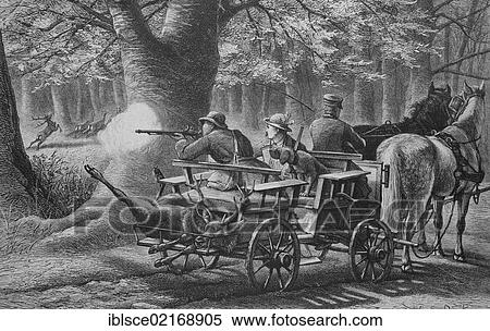 Game drive, historical engraving, 1883 View Large Photo Image Stock Photography - Game drive, historical engraving, 1883. Fotosearch