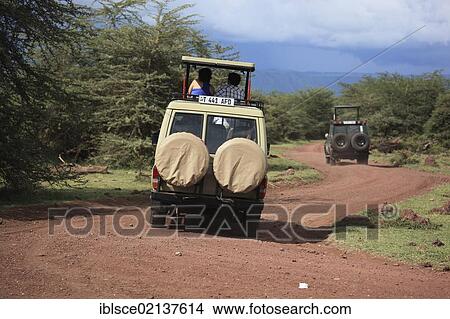 Picture - Game drive in Serengeti National Park, Tanzania, Africa. Fotosearch