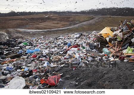 Garbage dumped at a landfill, Smith's Creek, Michigan, USA, North America View Large Photo Image Stock Image - Garbage dumped at a landfill, Smith's Creek, Michigan, USA, North America. Fotosearch