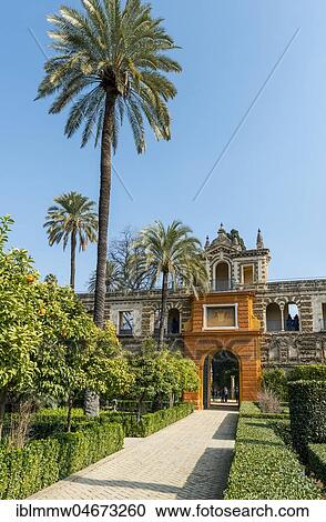 Stock Image - Garden in the Alcazar, Royal Palace of Seville, Seville, Spain, Europe. Fotosearch