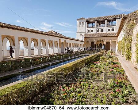 Picture - Garden with fountain, Patio de la Acequia, Gardens of the Generalife, Summer Palace Generalife, Palacio de Generalife, Granada, Andalusia, Spain, Europe. Fotosearch