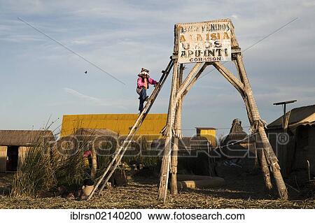 Girl climbing a lookout tower on the floating islands of the Urus on Lake Titicaca, constructed by the totora reeds growing there, Puno, Peru, South America View Large Photo Image Stock Image - Girl climbing a lookout tower on the floating islands of the Urus on Lake Titicaca, constructed by the totora reeds growing there, Puno, Peru, South America. Fotosearch