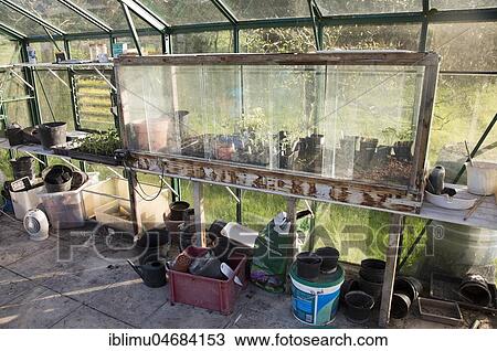 Glass cold frame with seedlings growing inside greenhouse View Large Photo Image Stock Image - Glass cold frame with seedlings growing inside greenhouse. Fotosearch