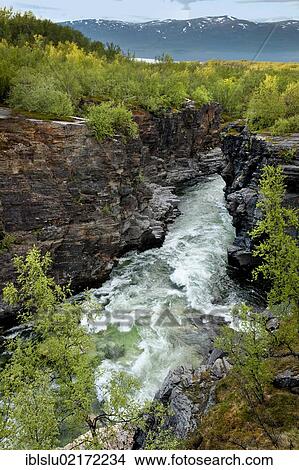 Gorge, Abiskojåkka, Abiskojakka river, Abisko National Park, Lapland, northern Sweden, Sweden, Scandinavia, Europe View Large Photo Image Picture - Gorge, Abiskojåkka, Abiskojakka river, Abisko National Park, Lapland, northern Sweden, Sweden, Scandinavia, Europe. Fotosearch