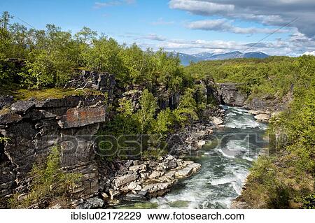 Gorge, Abiskojåkka, Abiskojakka river, Abisko National Park, Lapland, northern Sweden, Sweden, Scandinavia, Europe View Large Photo Image Stock Photo - Gorge, Abiskojåkka, Abiskojakka river, Abisko National Park, Lapland, northern Sweden, Sweden, Scandinavia, Europe. Fotosearch
