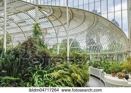 Picture - Greenhouse from 1849, also called Curvilinear Range, Botanical Garden, architect Richard Turner, interior view, Dublin, Ireland, Europe. Fotosearch
