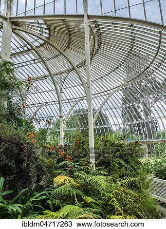 Greenhouse from 1849, also called Curvilinear Range, Botanical Garden, architect Richard Turner, interior view, Dublin, Ireland, Europe View Large Photo Image Stock Image - Greenhouse from 1849, also called Curvilinear Range, Botanical Garden, architect Richard Turner, interior view, Dublin, Ireland, Europe. Fotosearch